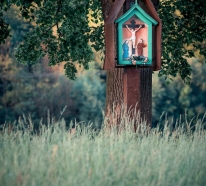 III miejsce Paweł Ferenc