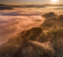 Wyróżnienie Kamil Bańkowski