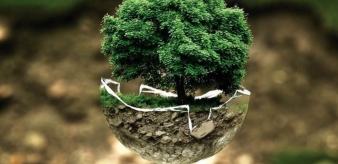 Twoja firma zmaga się ze skutkami COVID-19? W Małopolsce możesz starać się o ulgi w opłatach środowiskowych 