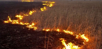 Wypalanie traw, a gospodarstwo wiejskie