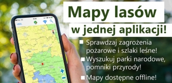 Aplikacja Mobilny Bank Danych o Lasach. Mapa lasów w jednej aplikacji!