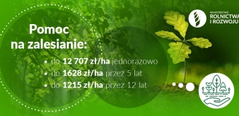Nabór wniosków o wsparcie na zalesianie