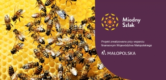 Cykl warsztatów Miodny Szlak TV