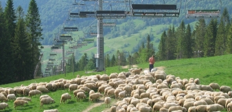 Śtryt pasterski w Wierchomli Małej. Niedziela 01.08.2021 r. godz. 15:00