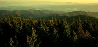 Harmonogram prac w lasach niestanowiących własności Skarbu Państwa w miesiącu październik 2021 r.