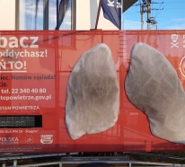 Czernichów 23.11.2021