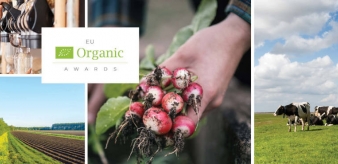 Nagrody ekologiczne UE: wyróżnienie dla najlepszych inicjatyw ekologicznych w UE! Jak wysłać zgłoszenie?