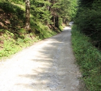 Modernizacja drogi w kierunku osiedla Trześniowy Groń 