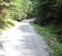 Modernizacja drogi w kierunku osiedla Trześniowy Groń 