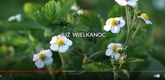 Zapraszamy do obejrzenia filmu pt. "Nadpopradzki Kalendarz Dawności - Wiosna"