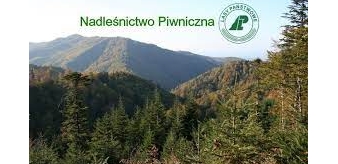 Nadleśnictwo Piwniczna: Harmonogram pracy w terenie w okresie grudzień 2022