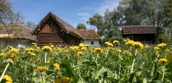 Sądecki Park Etnograficzny. Wystawa rekonstrukcji zabytkowych rękawic furmańskich 02.05 - 25.06.2023 r.