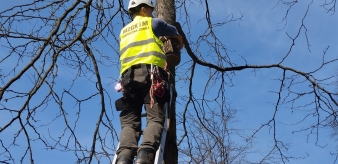 Ochrona ptak&oacute;w przez pracownik&oacute;w MZGKiM w Piwnicznej-Zdroju