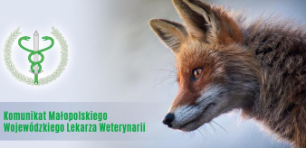 KOMUNIKAT Małopolskiego Wojew&oacute;dzkiego Lekarza Weterynarii dot. ochronnego szczepienia lis&oacute;w w dniach 27.09-04.10.2024