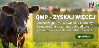 Ekoschemat „Dobrostan zwierząt”. Dodatkowe pieniądze dla hodowców bydła z QMP – tylko do 16 czerwca!
