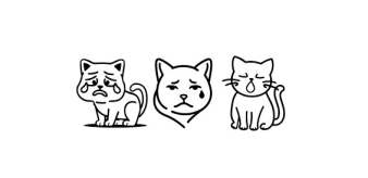 APEL o POMOC – szukamy domów dla czterech kociąt