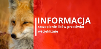INFORMACJA PLW w Nowym Sącz dot. akcji szczepienia lisów od dnia 28.09 do dnia 17.10.2025 r.