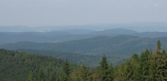 Plan polowań zbiorowych w sezonie łowieckim 2025/2026 dla Koła Łowieckiego "Głuszec" w Nawojowej 