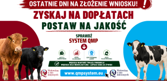 Ekoschemat &bdquo;Dobrostan zwierząt&rdquo; Dodatkowe pieniądze dla hodowc&oacute;w z QMP &ndash; tylko do 1 czerwca!