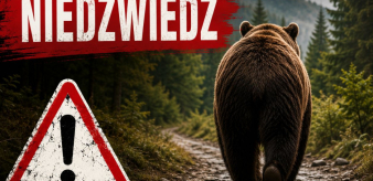 UWAGA! Komunikat dot. niedźwiedzia