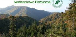 Kalendarz polowań zbiorowych w ohz w Nadleśnictwie Piwniczna w sezonie łowieckim 2026/2027